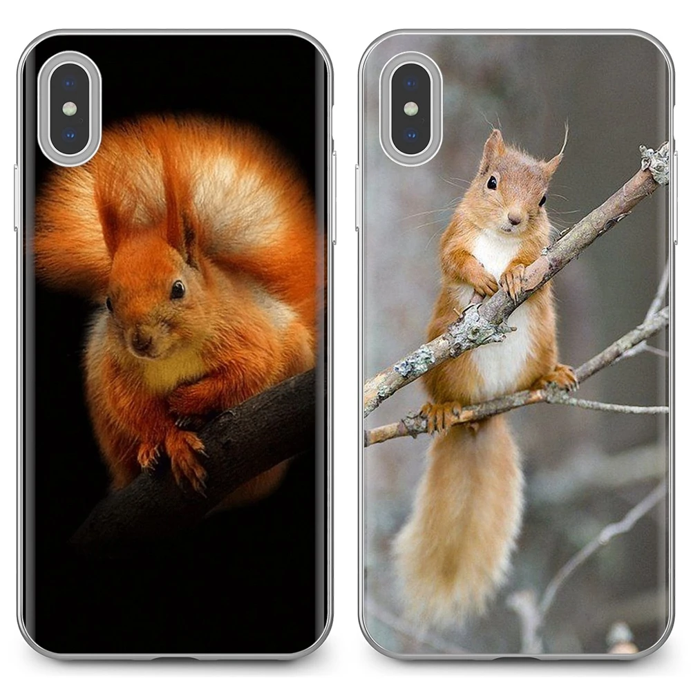 Силиконовый чехол для телефона Xiaomi Mi A1 A2 A3 5X 6X 8 9 9t Lite SE Pro Max Mix 1 2 3 2S Red Squirrel Sciurus vulgaris