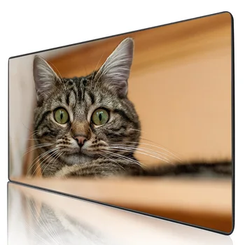 

XGZ A cute surprised cat Gaming Mouse Pad Computer Notebook Keyboard Mat Coaster Rubber Anti-skid Large Size Mousepad