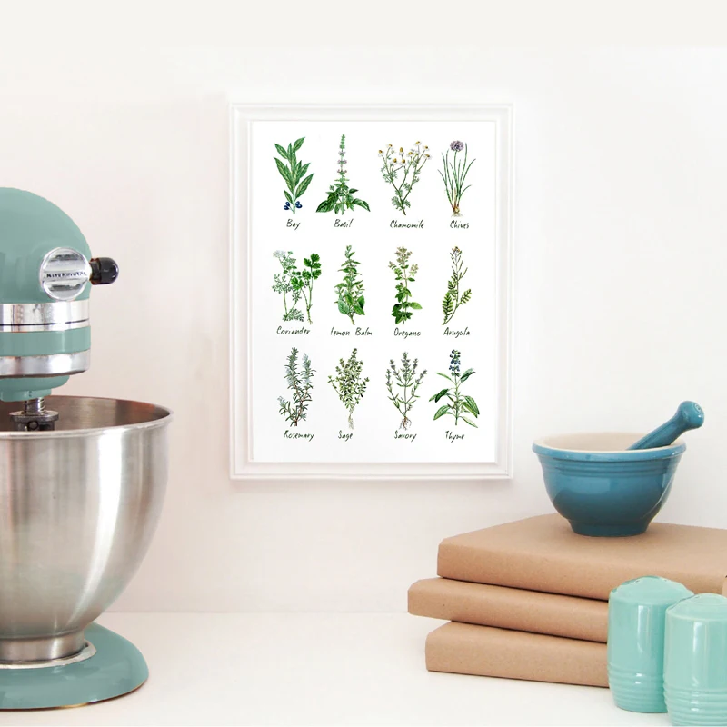 Kitchen-Art-Decoration-Botanical-Chart-Wall-Art-Canvas-Poster-Prints-Herbs-and-Spices-Painting-Picture-Herbarium (1)
