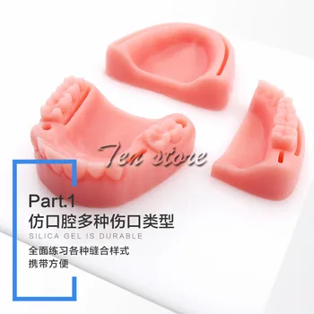 

Medical Suture Training Module for Teaching Oral Anatomy Gingival Suture Training Suture Training Periodontitis Dentists Recomme