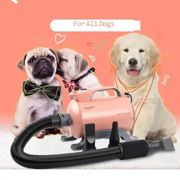 

Durable Pet Cats And Dogs Teddy Bichon Golden Retriever Water Blowing Machine High Power Large Dog Hair Dryer Silent Hair Dryer