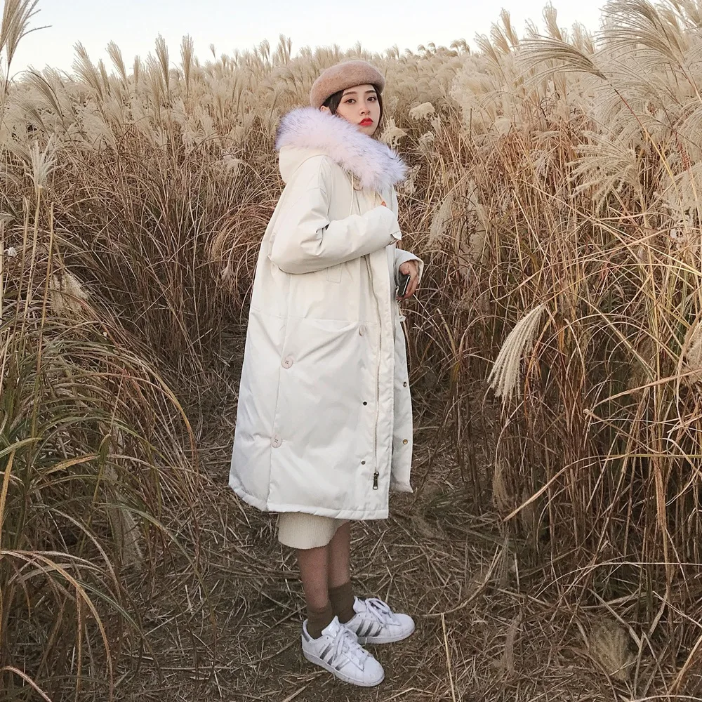 

Photo Shoot Fashionable Cotton Overcoat 2019 Winter New Style WOMEN'S Dress Retro CHIC-Style Fur Collar Hooded down Cotton Coat