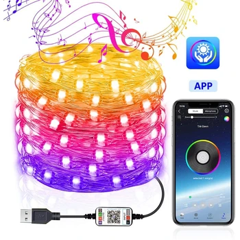 

2/5/10/15/20 Meters LED Light String Christmas Tree Decoration Copper Wire Lights Bluetooth USB RGB App Remote Lamp