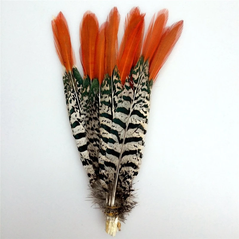 

Natural Lady Amherst Pheasant Feathers for Crafts 5-30cm/2-12" Feathers for Jewelry Making Wedding Feathers Decoration Plumas