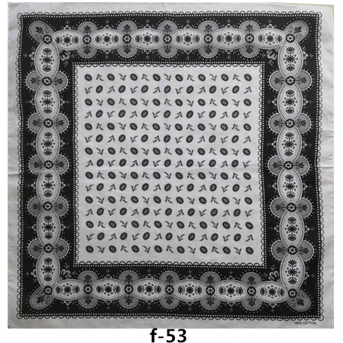 Image 54