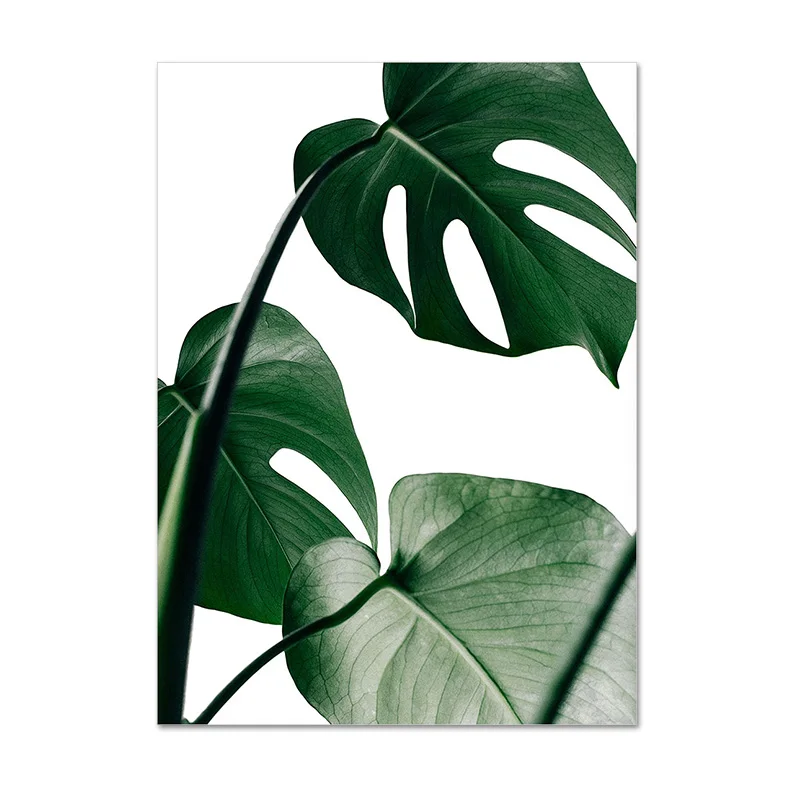 Зеленое растение Monstera папоротник холст настенная живопись художественный плакат скандинавский ботанический принт скандинавский рисунок для гостиной домашний декор - Цвет: B122-5