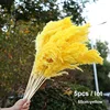 5pcs yellow - 55cm