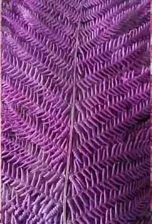 Purple 10 шт. консервированные зеленые/синие/желтые/белые/розовые листья папоротника для букета венок гирлянда материал для изготовления аксессуаров рукоделие сделай сам - Цвет: Purple