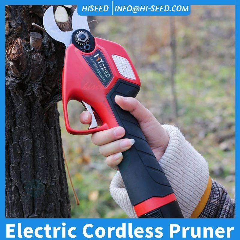 https://ae01.alicdn.com/kf/Hc481c7e20a81414c8aa5bbc4e36d80bey/Lithium-Battery-Scissors-Household-Rechargeable-Mini-Electric-Secateurs-Garden-Fruit-Tree-Handheld-Pruning-Shears.jpg