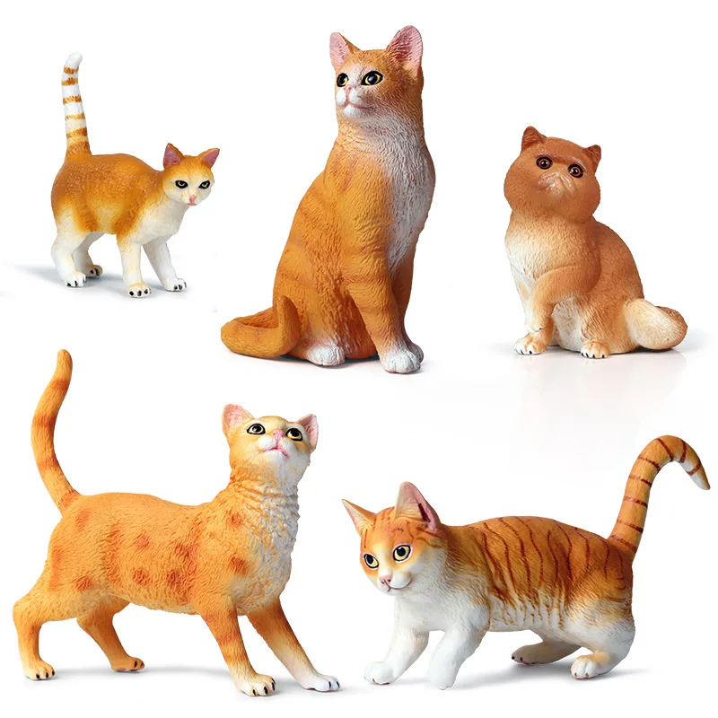 黄猫(白底）