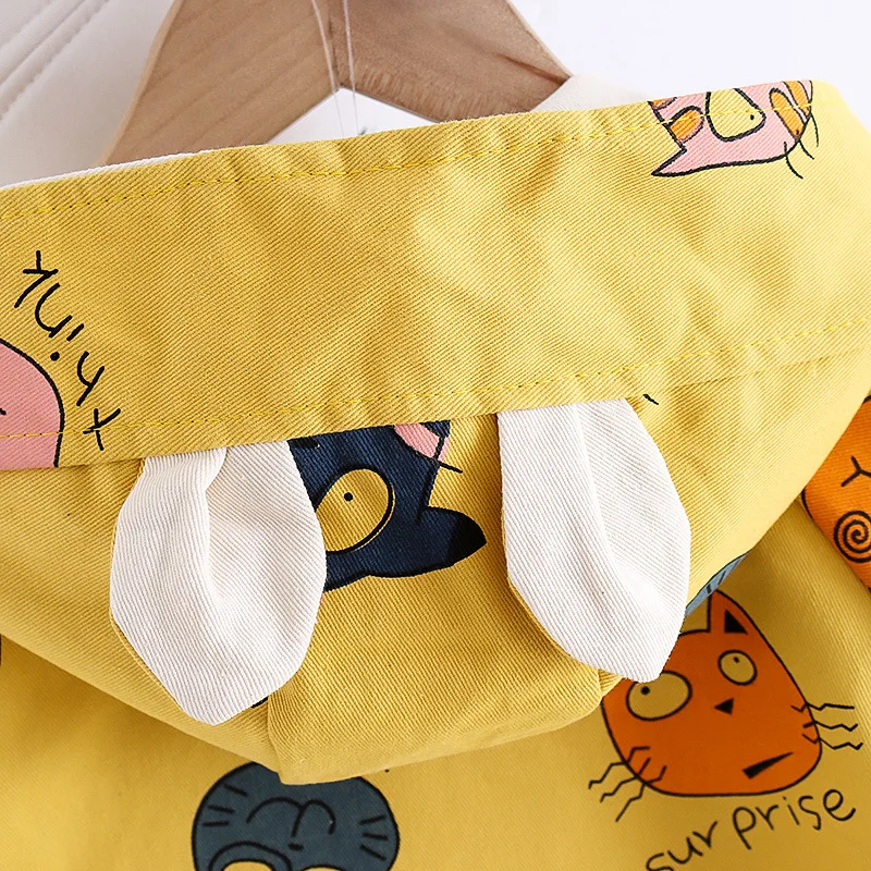 16851503808_123563804