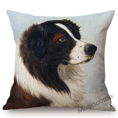 conew_n387 (43) 副本