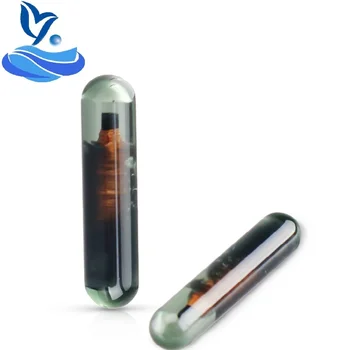

ID13 Glass Chip Blank Transponder Chip ID13 Chip Glass Car Key Chips