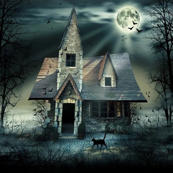 

Laeacco Old Dark Rural House Halloween Festivals Dark Night Moon Tree Bat Cat Party Decor Photo Background Photography Backdrop