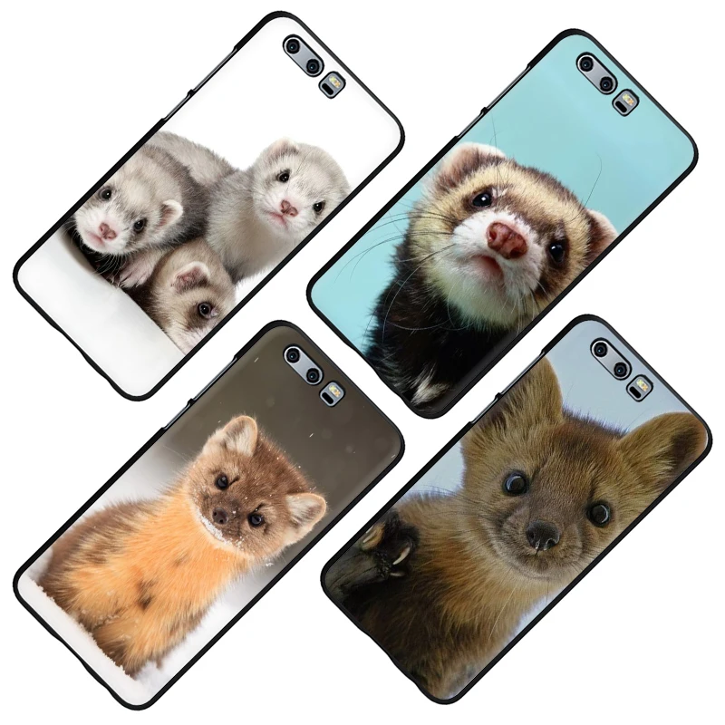 Ferret Ermine Мягкий силиконовый чехол для телефона для Huawei Honor 6a 7A Pro 9 10 Lite 7X 8X 8C