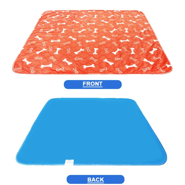 orange-bone-2