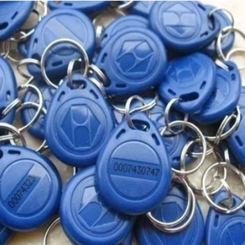 Smart Rfid 125 Khz Id Cards Key Fobs Bluetag Key Fob Entry Door Access Control System Keychain