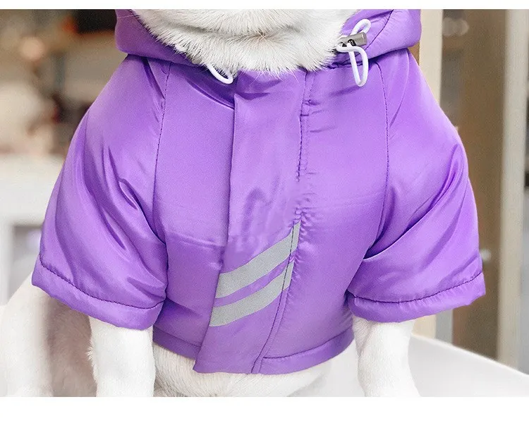 IMG_5378(20201121-230037)_副本