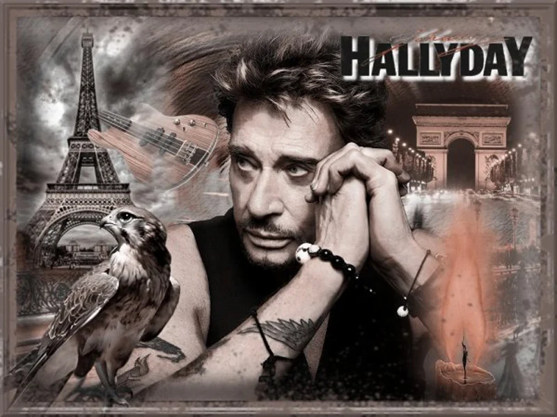 3322390750_1_5_6Z7F1Oww