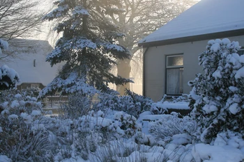 

Snowing style Embroidery Counted Cross Stitch Kits Needlework - Crafts 14 ct DMC Color DIY Arts A23244