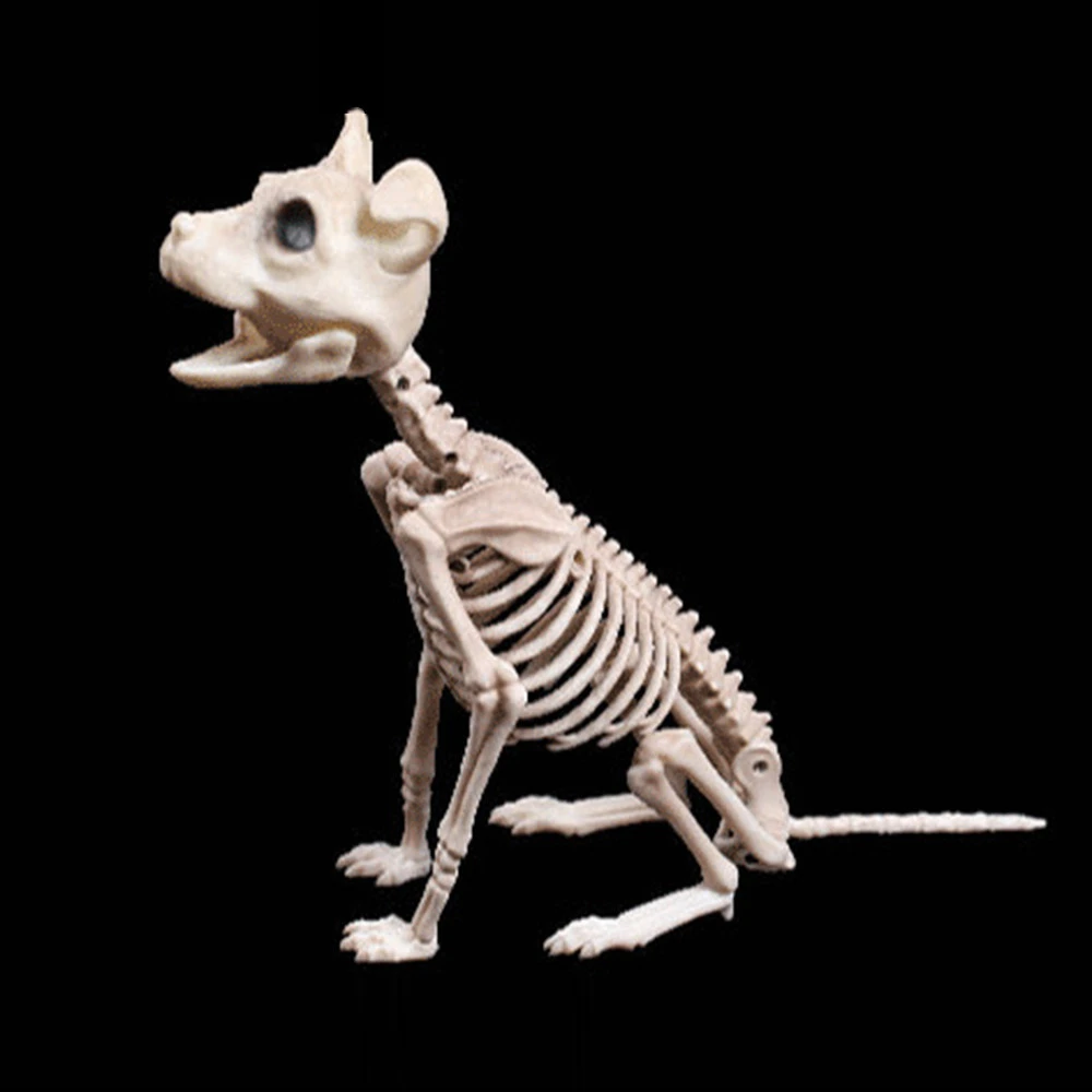 ハロウィーンハイナのアクセサリー動物の骨パーティーショップ装飾ホラー犬の骨格ハロウィーンの装飾 Gags Practical Jokes Aliexpress ハロウィーンハイナのアクセサリー動物の骨パーティーショップ装飾ホラー犬の骨格ハロウィーンの装飾 Gags Practical Jokes Aliexpress