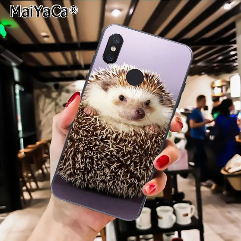 MaiYaCa Animal cute cartoon hedgehog painting Phone Case for Xiaomi Redmi8 4X 6A Redmi Go Redmi5 5Plus Note7 8ProA1 A2Lite - Цвет: A16