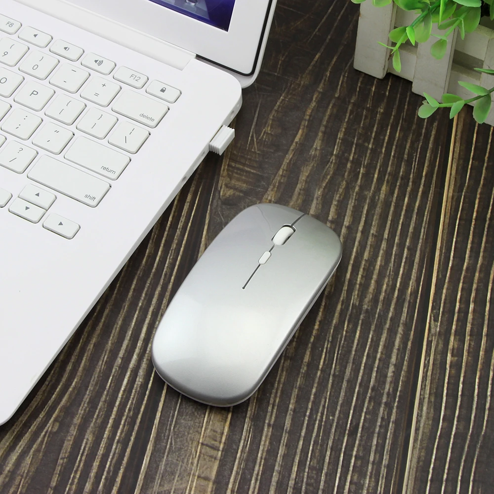 mouse