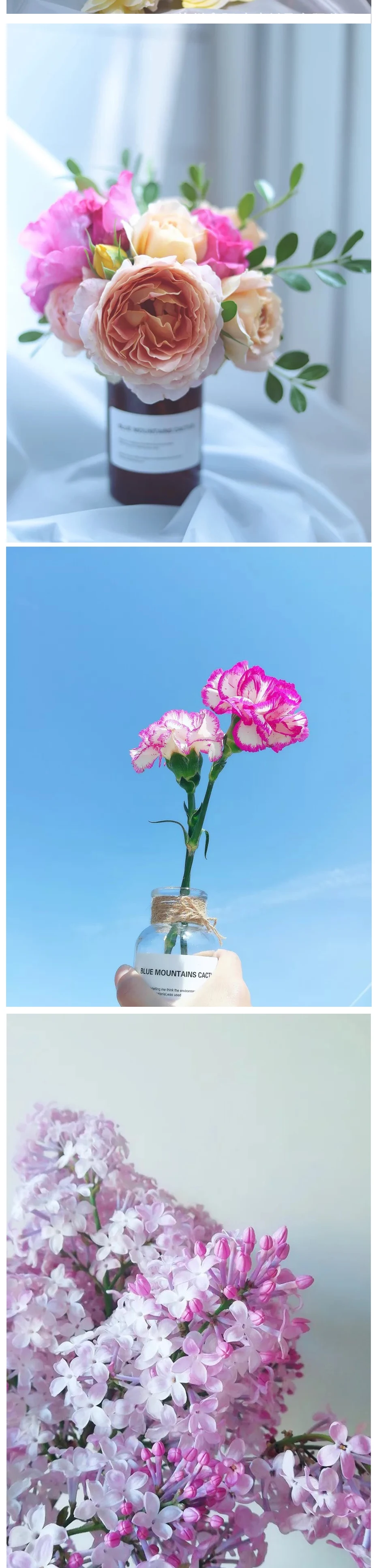 Скандинавская стеклянная ваза для дома, Креативные украшения, прозрачные сушеные цветы, гидропоники, маленькая коричневая бутылка, ваза, прикроватное украшение