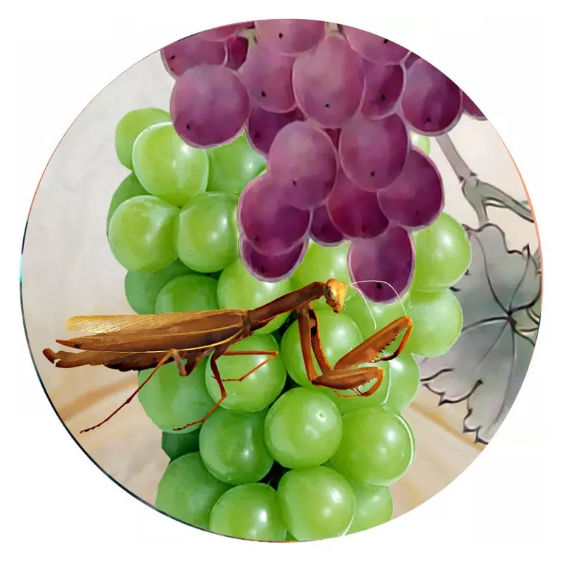 Custom-3D-Wall-Murals-Wallpaper-New-Chinese-Style-Hand-Painted-Purple-Grape-Flowers-Birds-Art-Wall (3)