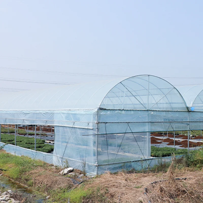 2M Wide Agricultural Greenhouse Film Keep Warm Shade Rain-Proof Garden Film Outdoor Flower Plant Covers PE Plastic