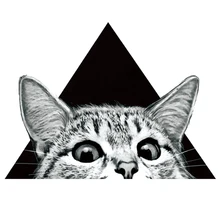 Наклейки на одежду с кошками для детей, сделай сам, нашивки с железом на футболке, моющиеся, на заказ, а-уровень, нашивки с железом на джинсовой ткани