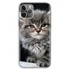Mobile Phone Accessories