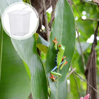 

2 PCS Reptile Container Safe Mini Feeding Box Reptile Feeder Box Reptile Feeder Container Reptile Case for Lizard Turtle