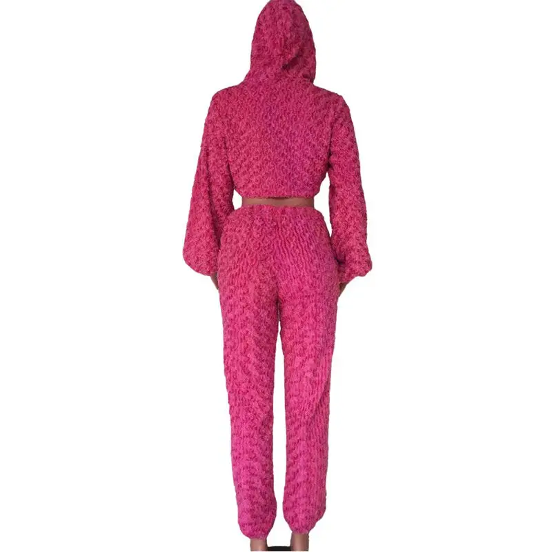 HAOYUAN бархатная осенне-зимняя одежда размера плюс, комплект из 2 предметов, спортивный костюм для женщин, плюшевая укороченная куртка и штаны, комплект из двух предметов