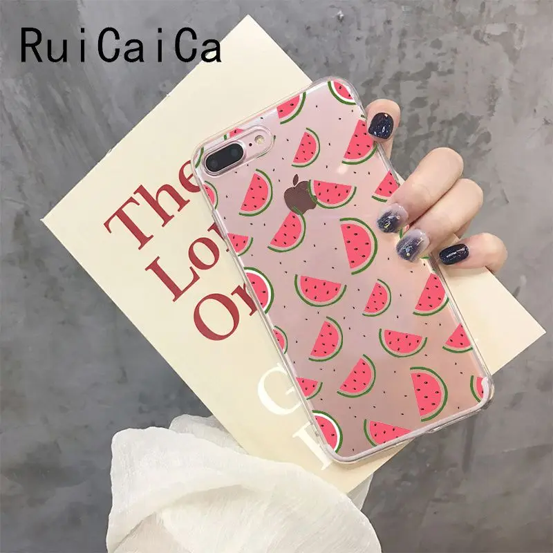 Cute Transparent Summer Fruit watermelon