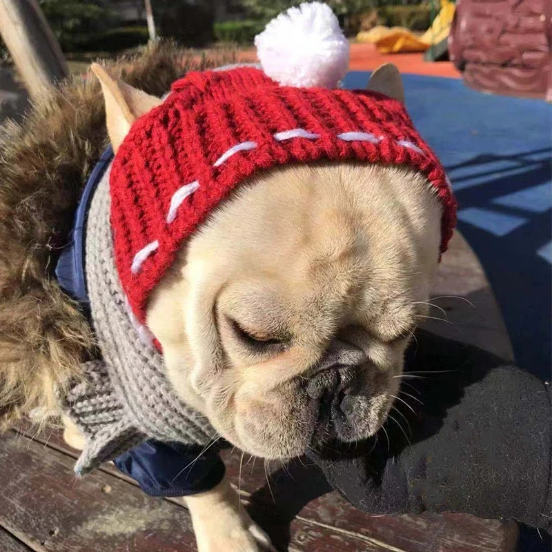 Winter-Dog-Cap-Christmas-Pet-Hats-Dog-Accessories-Woolen-Puppy-Hat-With-Ball-Headwear-for-Small.jpg_Q90.jpg (2)
