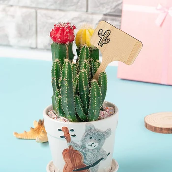 

50 Pcs Flower Card Multi-meat Label Board Insert Clay Bamboo Bamboo Landscape Signage Nameplate Carved Bamboo Wood