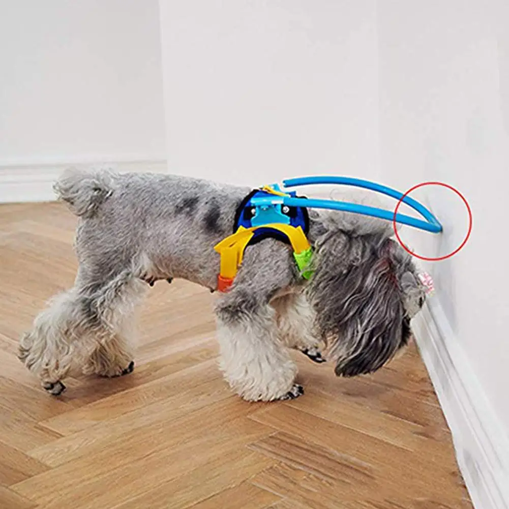 HobbyLane слепой Pet анти столкновения кольцо катаракта защита животных круг