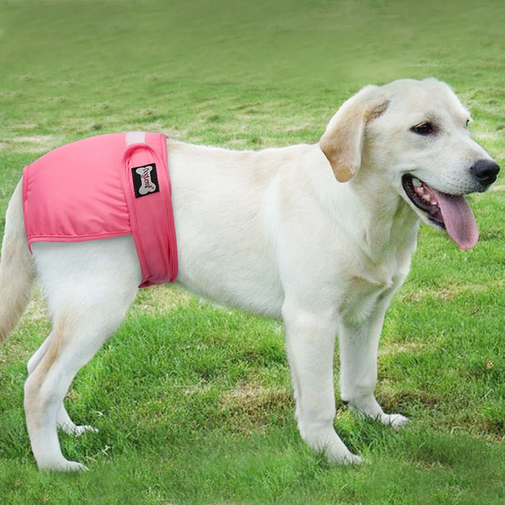 

3Pcs Dog Diapers Female Dog Short Washable Menstruation Underwear Briefs Dog Physiological Sanitary Pants Polyester Pet Clothes