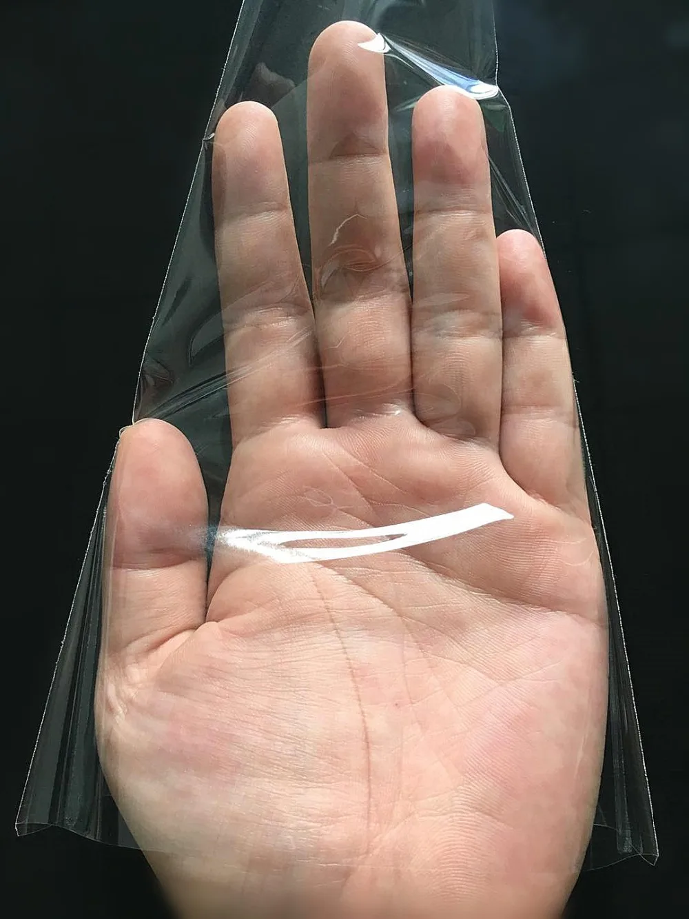 11283472380_502947357