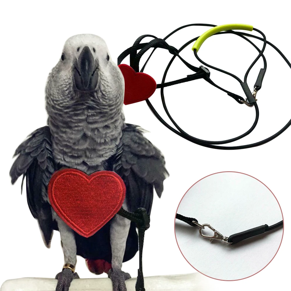 

Traction Rope Durable Training Birds Parrot Cockatiel Harness Ostrich Elastic Flying Leash Outdoor Rubber Wings Soft