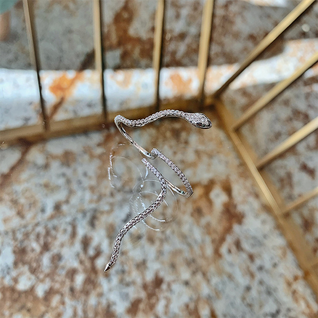 2020 New Hip Hop Punk Silver Colour Wave Bend  Snake Metal Vintage Finger Ring for Cool Women Girls Jewelry Gifts