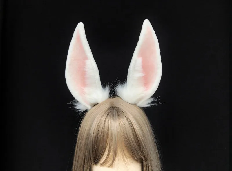 Hc4bb70a048a440fa8d9a999c89653