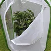 Green collapsible insect cage Mesh Insect Habitat Cage Butterfly Mantis Stick Breeding Zipper Cages Net Cloth ► Photo 3/6