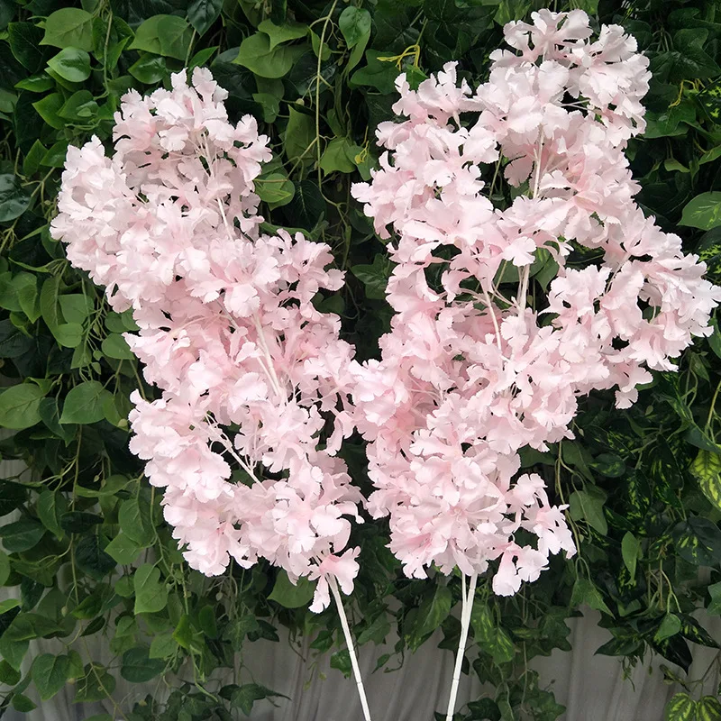 IMG20190718063535