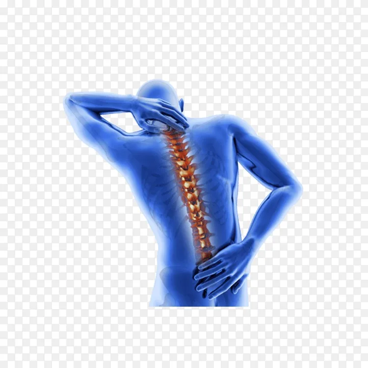 脊椎病强直性脊柱炎疼痛管理疗法医学诊断png图片素材免费下载 图片编号 Png素材网