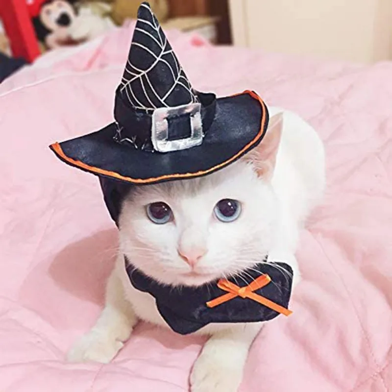 Накидка для костюма собаки кошки шляпа косплея на Хэллоуин пиратская аксессуары