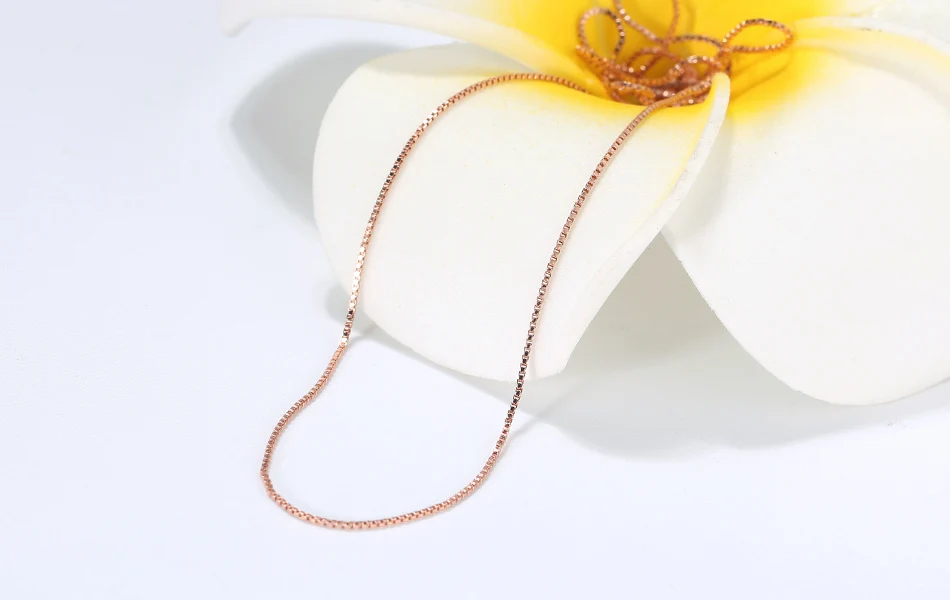 SC07-R-SCENE-IMG_9169-R