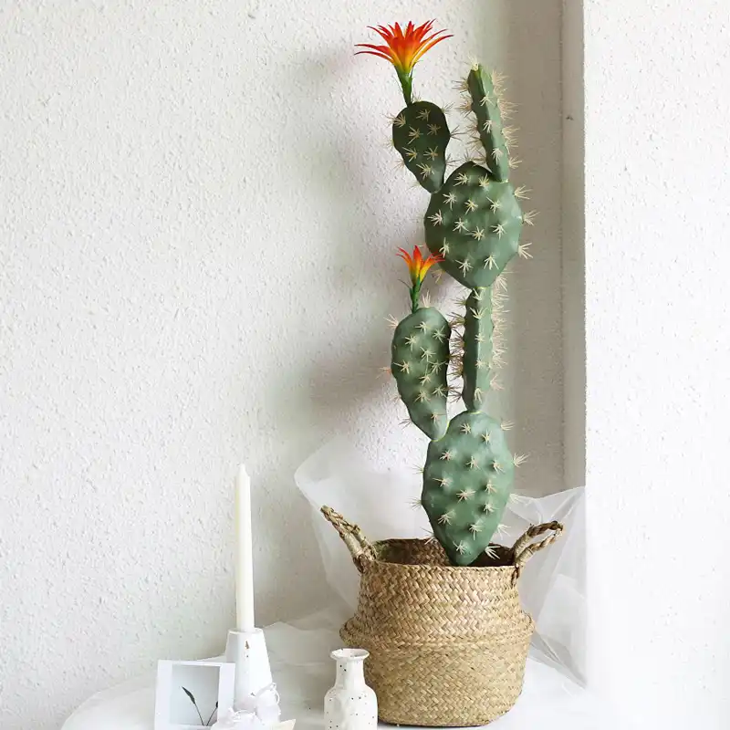 Fiberglas Buyuk Kapali Noel Bitki Topu Kaktus Buy Fiberglas Topu Kaktus Top Kaktus Buyuk Top Kaktus Product On Alibaba Com