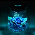 Shop910968017 Store
